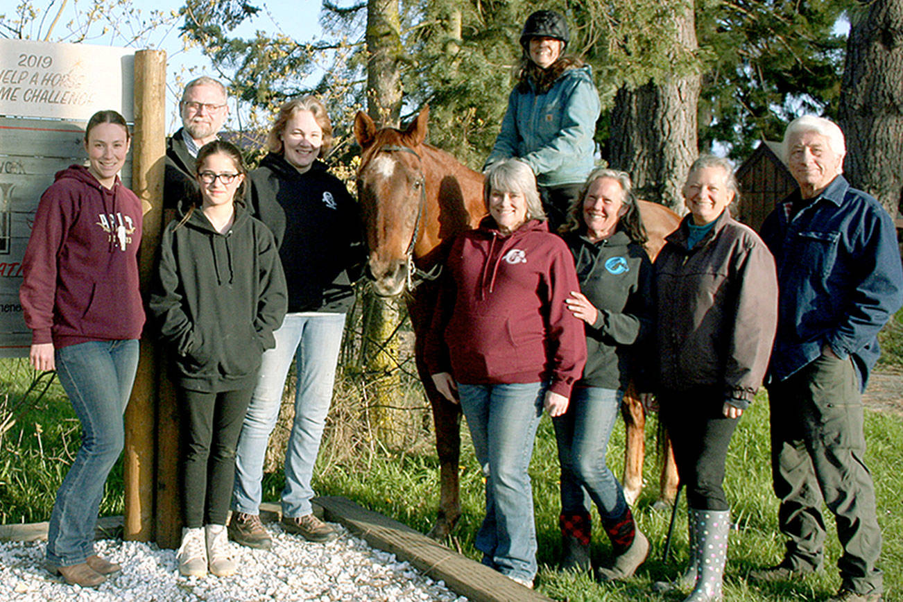 OPEN board members and volunteers are full of smiles after a recent anonymous supporter asked how she could help. She paid the veterinarian’s fee to fully exam four horses,  float the teeth on three and ended up taking home two of them, agreeing to provide them a forever retirement home in her ample pastures. (Karen Griffiths/for Peninsula Daily News)