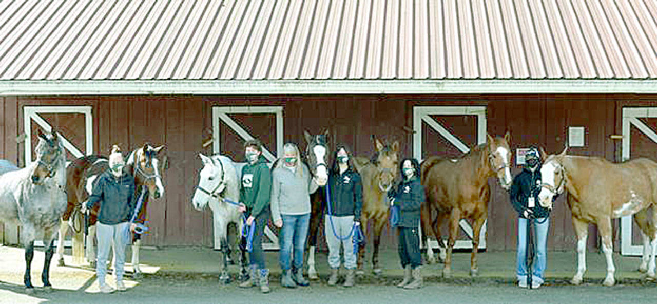 Photo courtesy of Katharyn Rivers
Port Angeles’ and Sequim’s high school equestrian teams gained three first-place and four second-place finishes at their second meet from
April 9-11. The Port Angeles team, from left, is Amelia Kinney with Gus and Cupcake, Sara Holland with Diesel, Katherine Marchant with Smokey, Coach Nancy McCaleb, Sydney Hutton with Ginger, and Haley Bishop with Speckles and Flash.