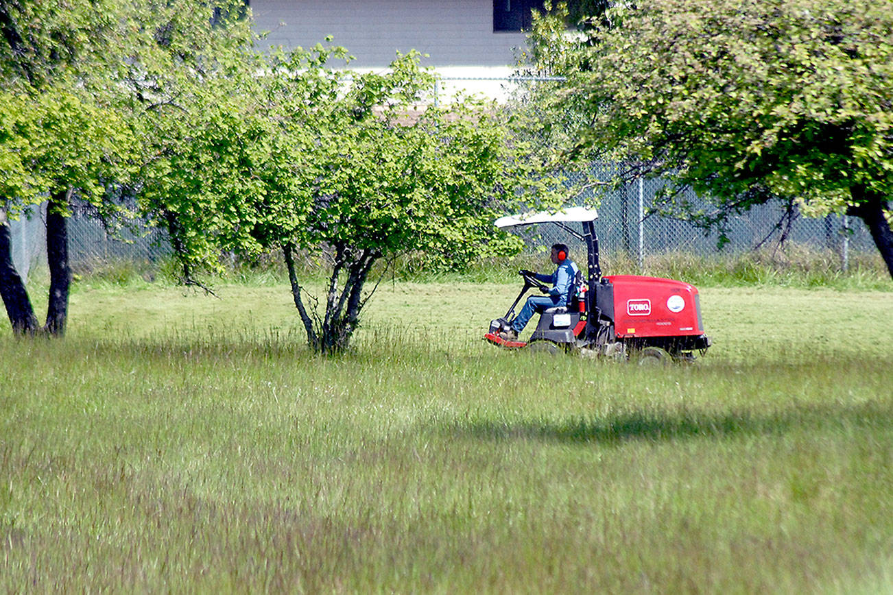 A mower cuts grass around the trees in Lions Park in Port Angeles on Wednesday. Lawn-mowing weather is expected to continue across the North Olympic Peninsula into the weekend with a chance of showers forecast for Sunday. (Keith Thorpe/Peninsula Daily News)