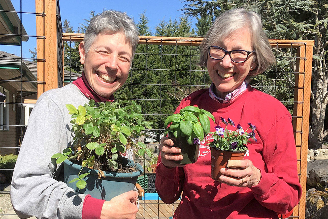 Jeanette Stehr-Green, left, and Judy English will present “Growing Vegetables and Fruits in Containers” at noon Thursday.