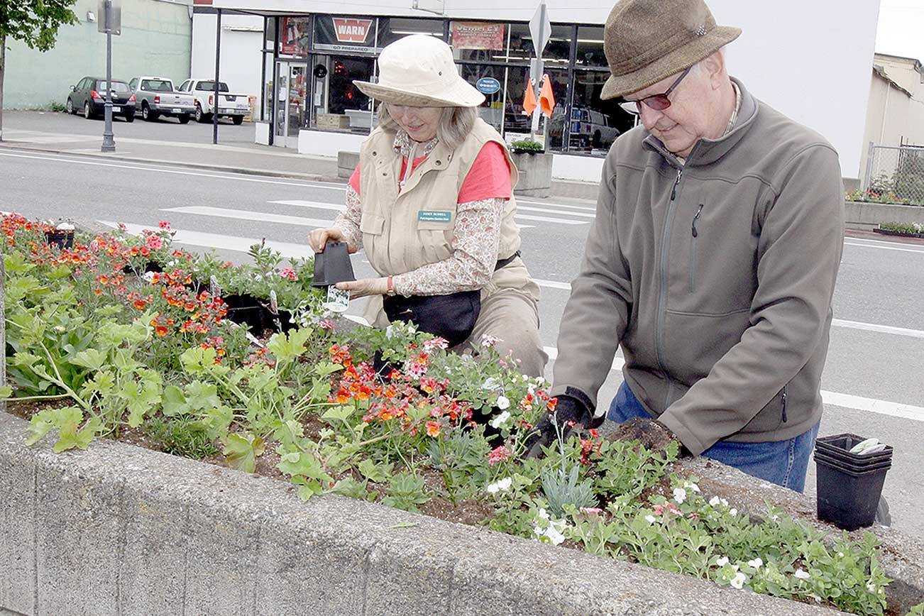 Volunteers Janet and Dale Russell of Port Angeles plant a variety of annual flowers along First Street near Country Aire as part of the Big Spring Spruce Up. The Port Angeles Chamber of Commerce hosted a flower planting party early Sunday. Dozens of volunteers planted annual flowers in the 20 triangle-shaped planters along First and Front streets in the downtown area. (Dave Logan/for Peninsula Daily News)