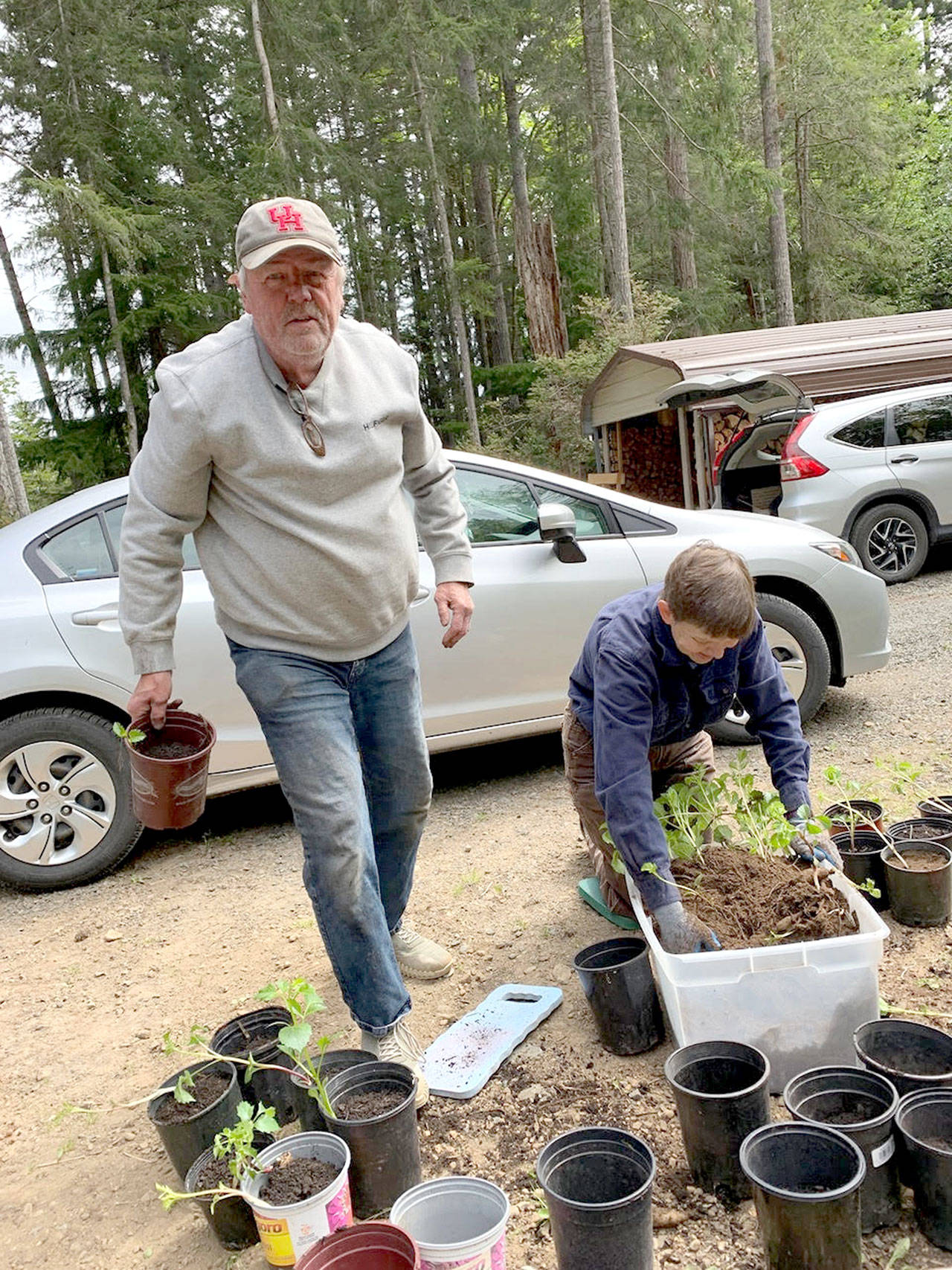 Dahlia expert Harold Jensen works with Cecile Culp on plant starts for the Quilcene Brinnon Garden Club's big plant sale Saturday and Sunday at the Brinnon Community Center. 
photo by Laurie Mattson