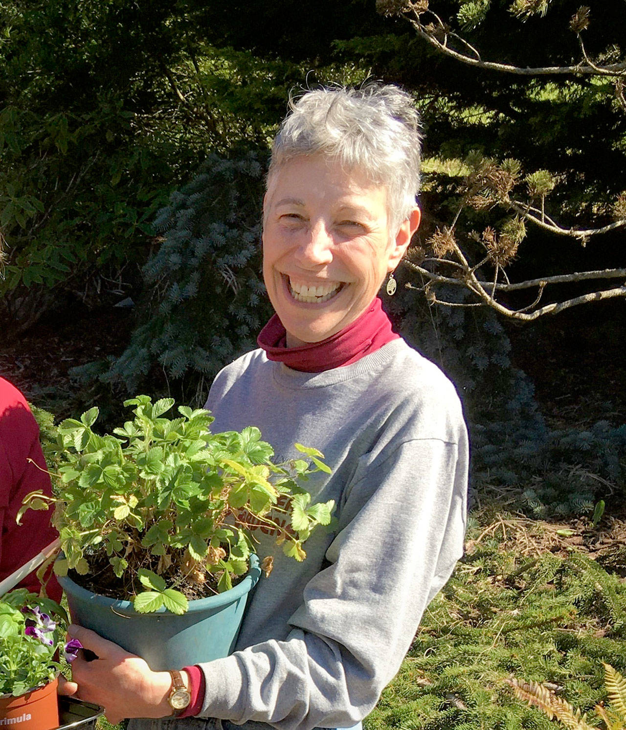 Jeanette Stehr-Green will present “Growing Strawberries on the North Olympic Peninsula” at 10:30 a.m. Saturday.