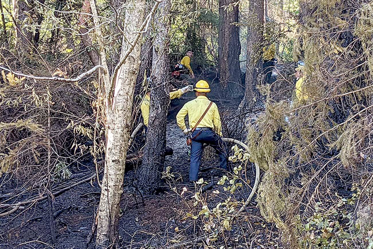 Fire crews work to extinguish a brush fire sparked near Brinnon on Monday afternoon and fully extinguished early Tuesday morning. (Zach Jablonski/Peninsula Daily News)