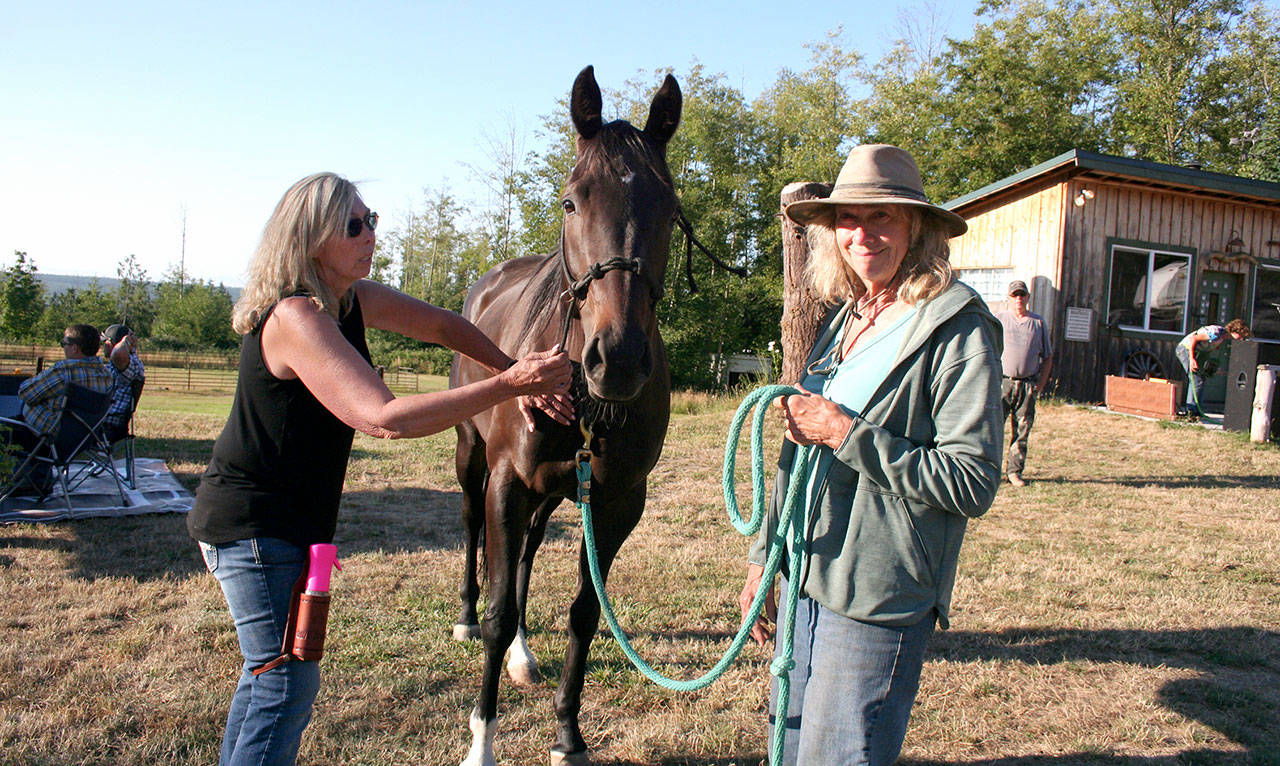 Nose to Toes Certified Acupressure Practitioner Bridget Stumbaugh, left, applies finger pressure to a meridian point on Laurie Corson’s horse Nova to aid in releasing pain caused by an injury and restore the body’s qi, or positive energy flow. Aroma therapy with therapeutic herbal oils also helped turn the usually nervous horse into a relaxed and happy equine. (Karen Griffiths/for Peninsula Daily News)