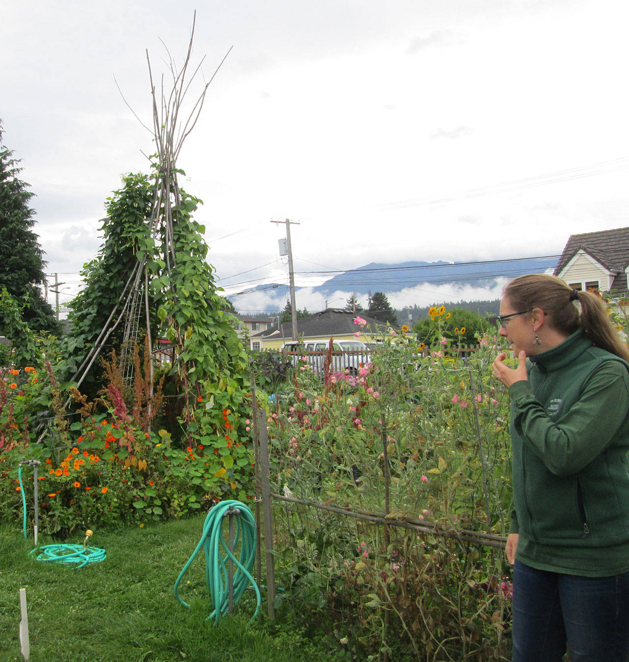 Laurel Moulton, program coordinator for the Clallam County Master Gardeners, will bring the hour-long Green Thumb Education Series lectures to Zoom on Thursday.