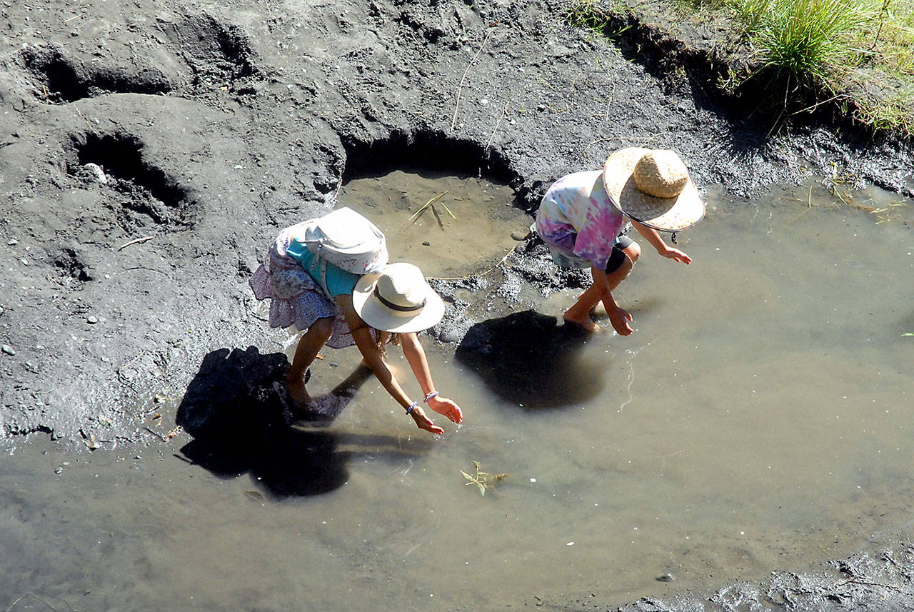 Siblings Sequoia Mitchell, 9, and Coco Mitchell, 6, both of Sequim, attempt to catch tadpoles in a side channel of the Dungeness River at Railroad Bridge Park in Sequim on Tuesday. A spell of hot weather forecast for the next several days will likely send many people on the North Olympic Peninsula seeking heat relief near the water. (Keith Thorpe/Peninsula Daily News)