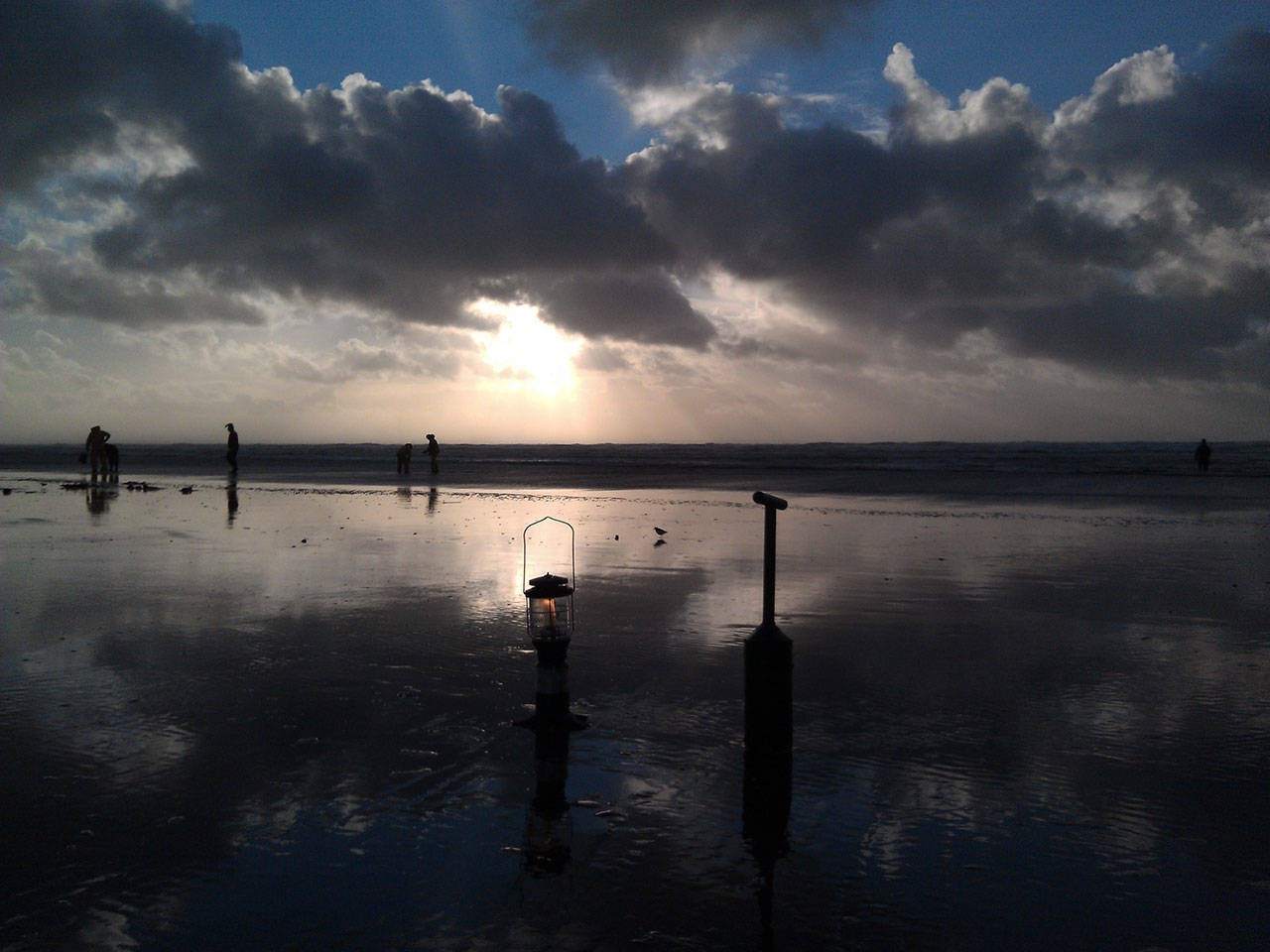 Razor clam diggers should expect a banner harvest season in 2021-2022 with record-size numbers of clams at many ocean beaches. (Photo courtesy of State Department of Fish and Wildlife)