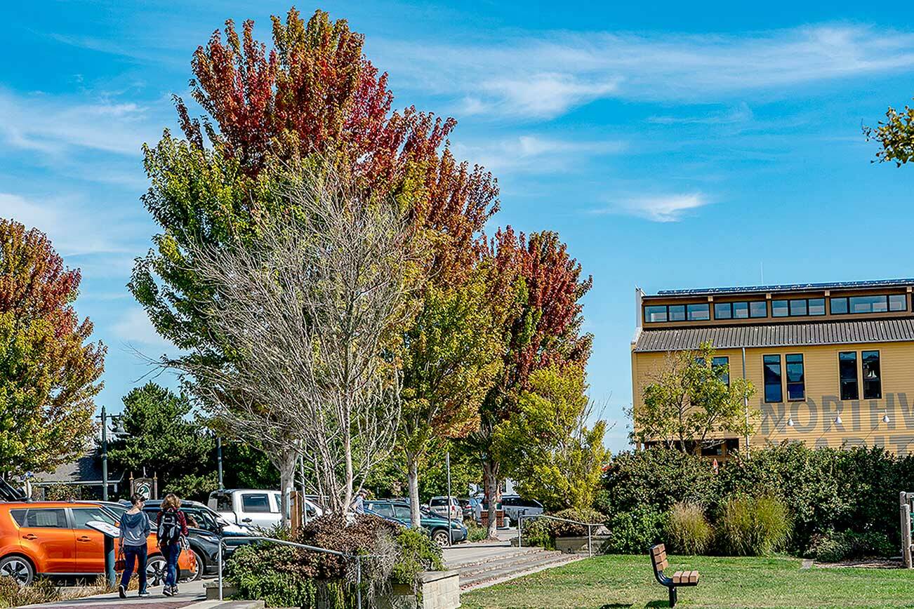 Red and orange hues mean change is coming as shown on these trees on Water Street next to Pope Marine Park in downtown Port Townsend. (Steve Mullensky/for Peninsula Daily News)