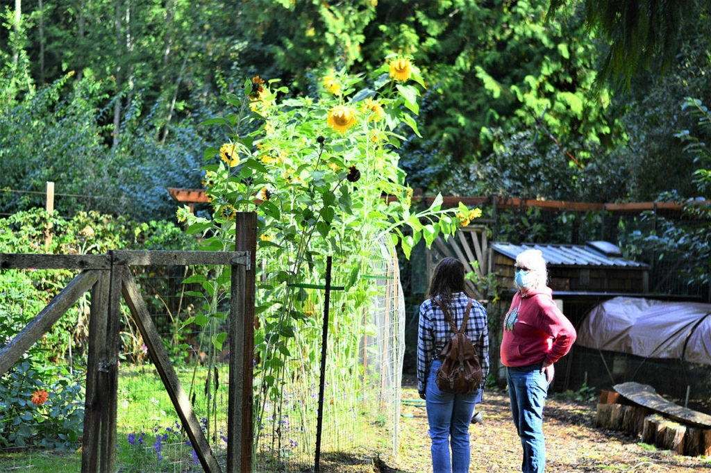 Jefferson County Farm Tour finishes today Peninsula Daily News