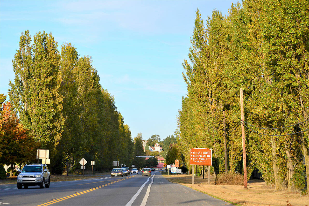 The Sims Way entrance to Port Townsend is lined with scores of Lombardy poplars — alongside power lines and the Boat Haven. The city and port plan to remove the trees to make room for boatyard expansion. (Diane Urbani de la Paz/Peninsula Daily News)