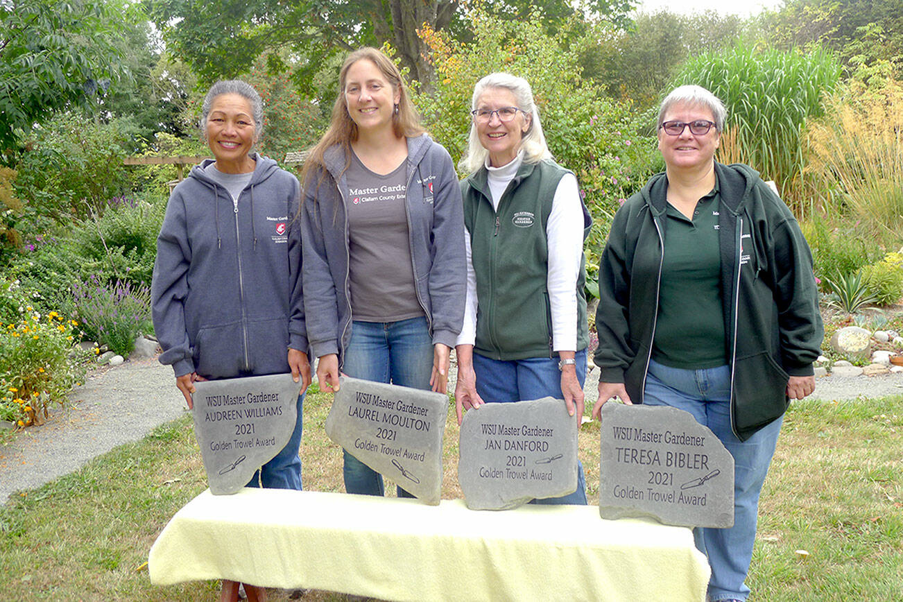 PHOTO BY: Marilynn Elliott 

CAPTION: From left to right, Golden Trowel award recipients Audreen Williams, Laurel Moulton, Jan Danford and Teresa Bibler.