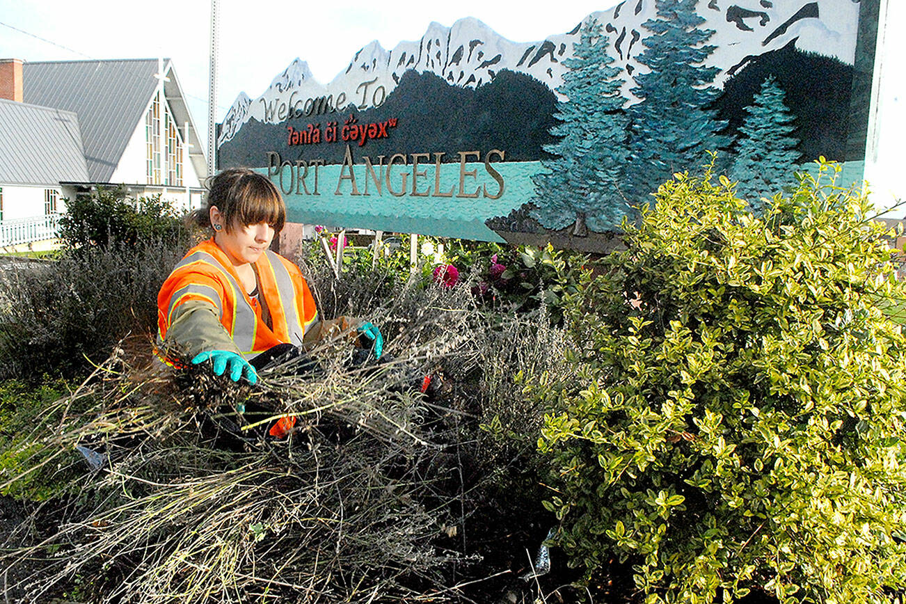 Keith Thorpe/Peninsula Daily News
Port Angeles Parks and Recreation Department seasonal worker Destiny Walters removes unwanted growth from the garden in front of the Port Angeles welcome sign at Lincoln Street and Lauridsen Boulevard on Wednesday. The sign includes a greeting dto visitors in the Klallam language.