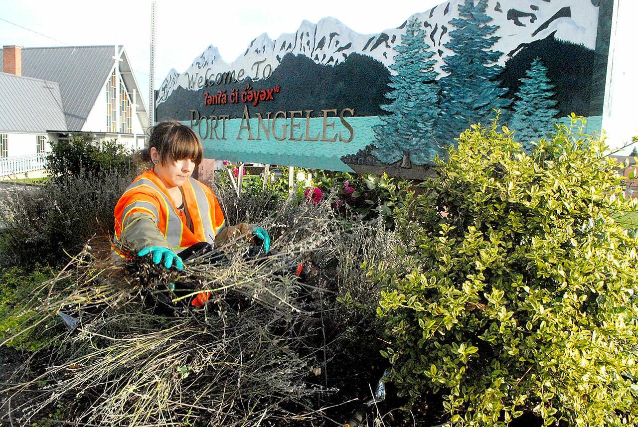 Port Angeles Parks and Recreation Department seasonal worker Destiny Walters removes unwanted growth from the garden in front of the Port Angeles welcome sign at Lincoln Street and Lauridsen Boulevard on Wednesday. The sign includes a greeting dto visitors in the Klallam language. (Keith Thorpe/Peninsula Daily News)