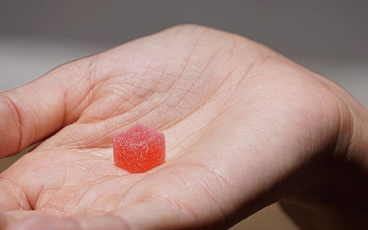 Best CBD Gummies for Pain Management: Top 10 Edibles Brands