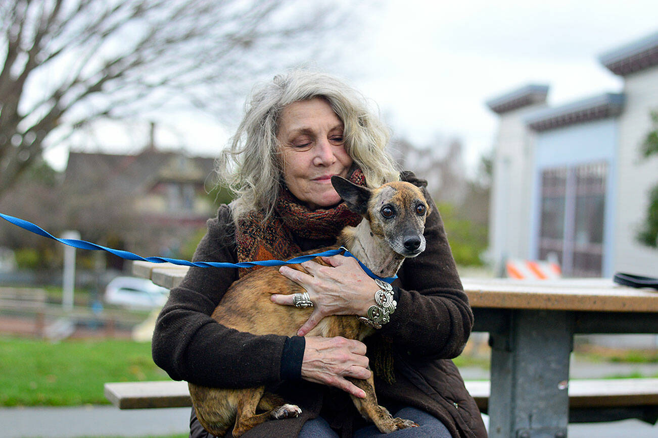 Holly Stone Cabe of Port Townsend and her dog Louie recently connected with Pet Helpers, a new nonprofit organization which provides aid in veterinary emergencies. (Diane Urbani de la Paz/Peninsula Daily News)