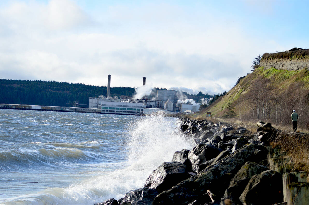 A lone pedestrian walks the Larry Scott Trail toward the Port Townsend Paper Mill on Monday morning as a stiff wind whips up the waves on nearby Port Townsend Bay. Area temperatures began to rise and melt off snow that accumulated the week after Christmas. (Diane Urbani de la Paz/Peninsula Daily News)