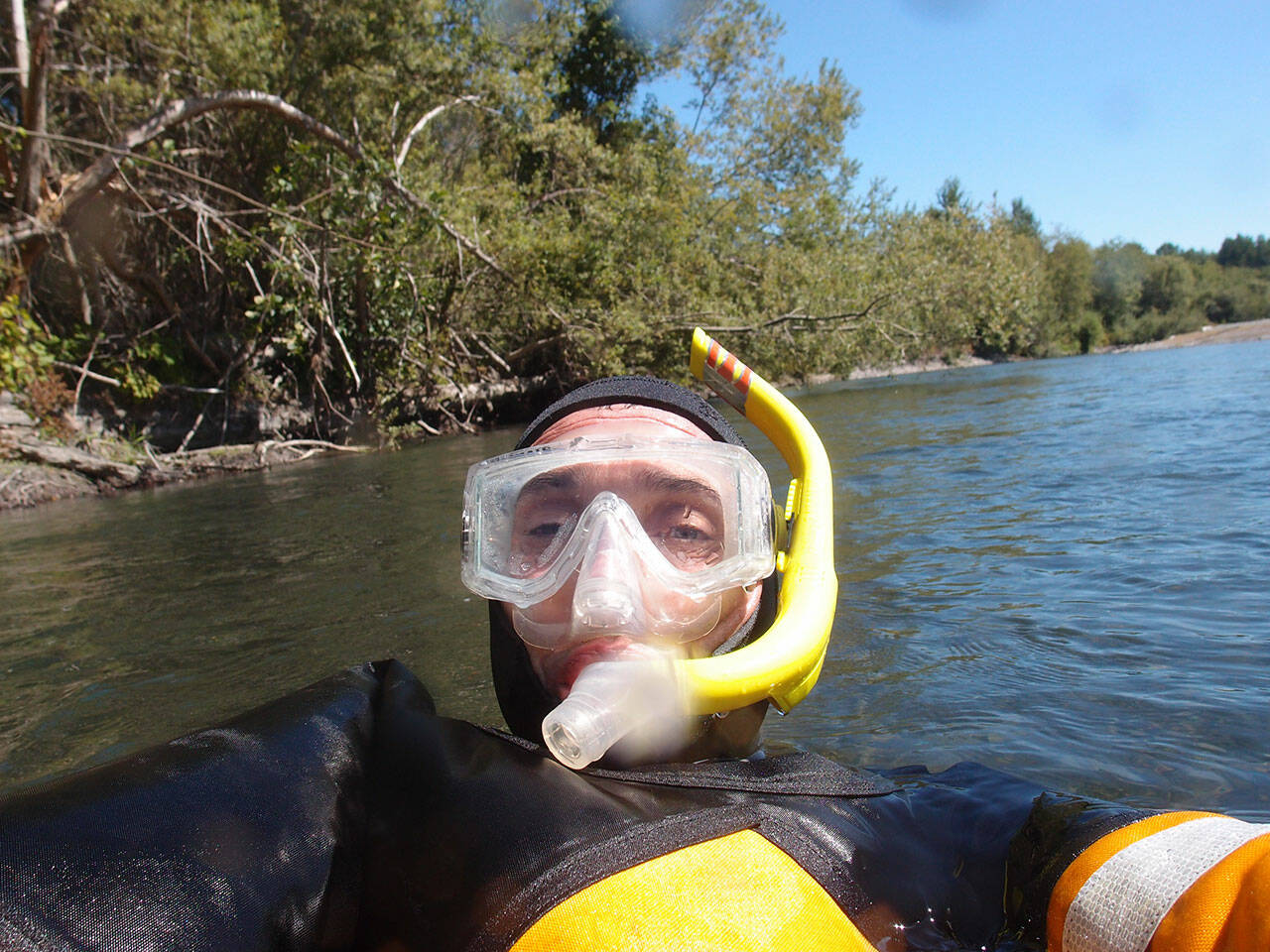 Mike McHenry, fish habitat manager for the Lower Elwha Klallam Tribe, presents “The Elwha River: Eight Years of Research Since the Largest Dam Removal in the World” at 12:30 p.m. today. (Courtesy photo)