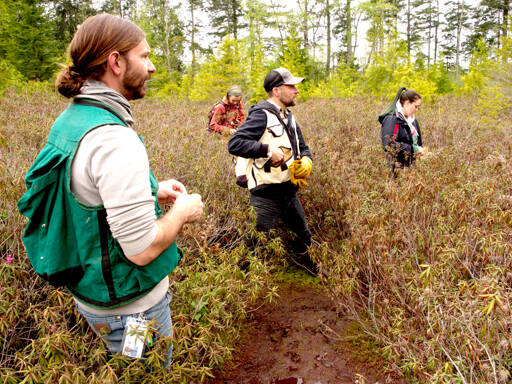 During the online Conservation Breakfast this Thursday, speakers — from left, David Brownell, Emma Brownell, Erik Kingfisher and Stormy Purser — will discuss how local tribes care for the land. The four are pictured last spring on Chimacum Ridge, one of the parcels the Jefferson Land Trust is working to preserve. (Tim Lawson/Jefferson Land Trust)