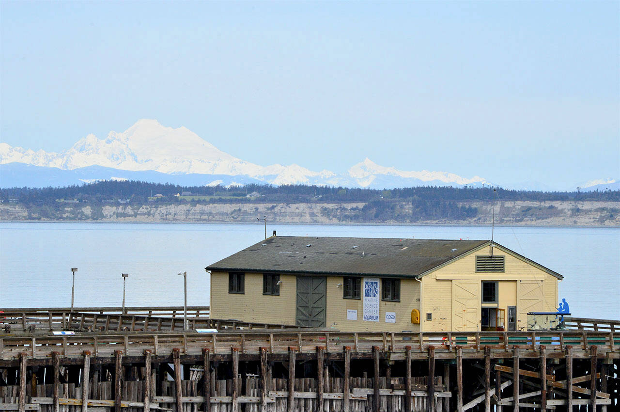 Mount Baker looms behind the Port Townsend Marine Science Center aquarium, now open for the season at Fort Worden State Park. (Diane Urbani de la Paz/Peninsula Daily News)