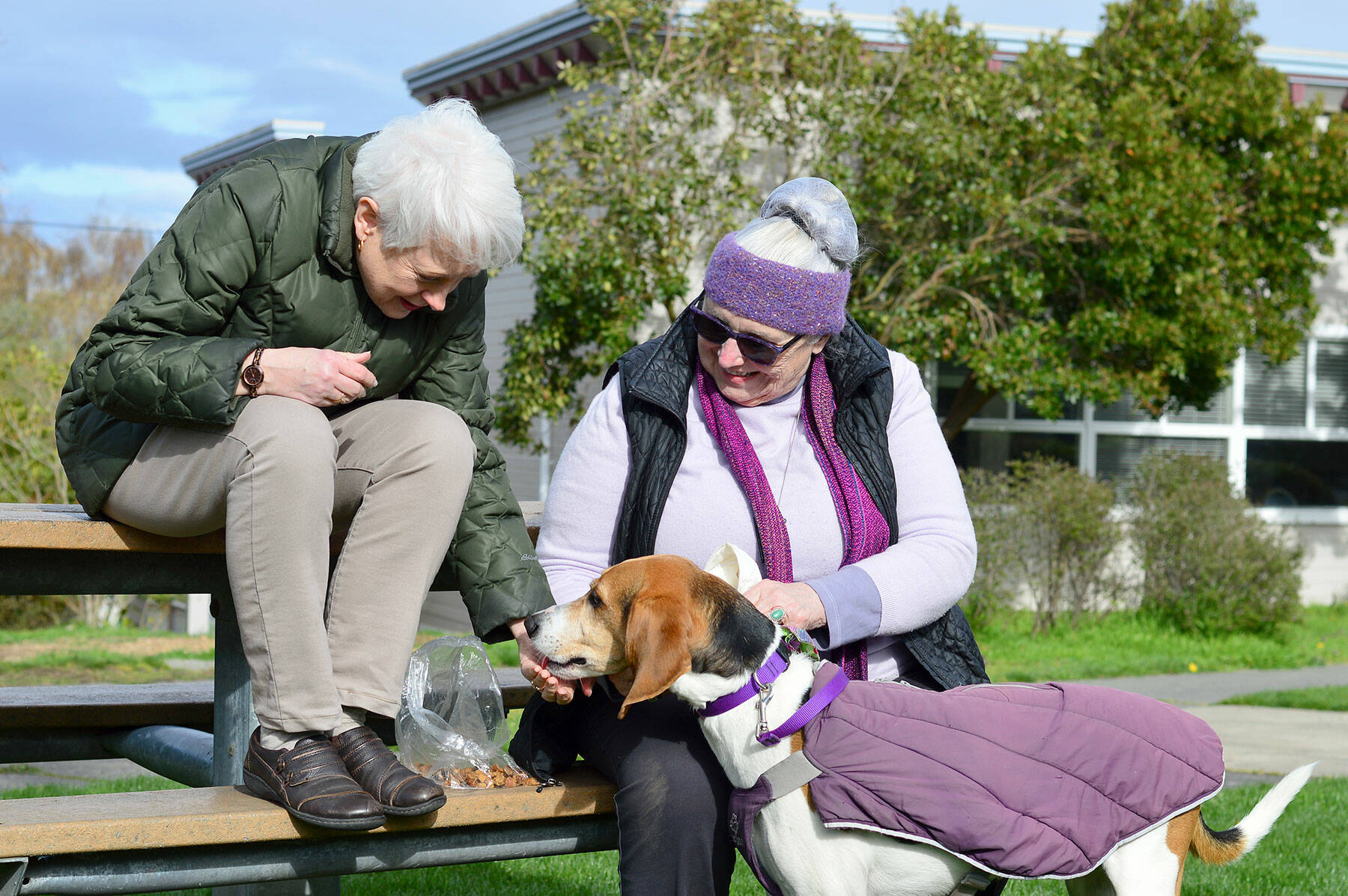 Pet Helpers volunteers Marla Tangen, left, and Lois Davis offer treats to Lady Bird, Davis’ dog. Tangen and Davis are helping organize the Pet Helpers yard sale later this month. (Diane Urbani de la Paz/Peninsula Daily News)