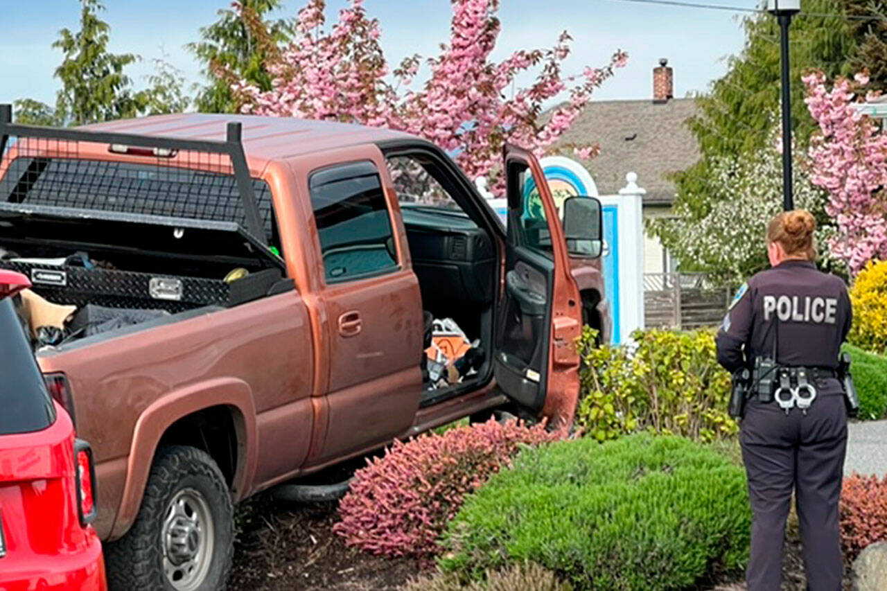 Sgt. Carolee Edwards inspects the scene in front of Hurricane Ridge Veterinary Hospital, where a Tacoma woman crashed a truck after allegedly evading police throughout Sequim. (Roger Huntman)