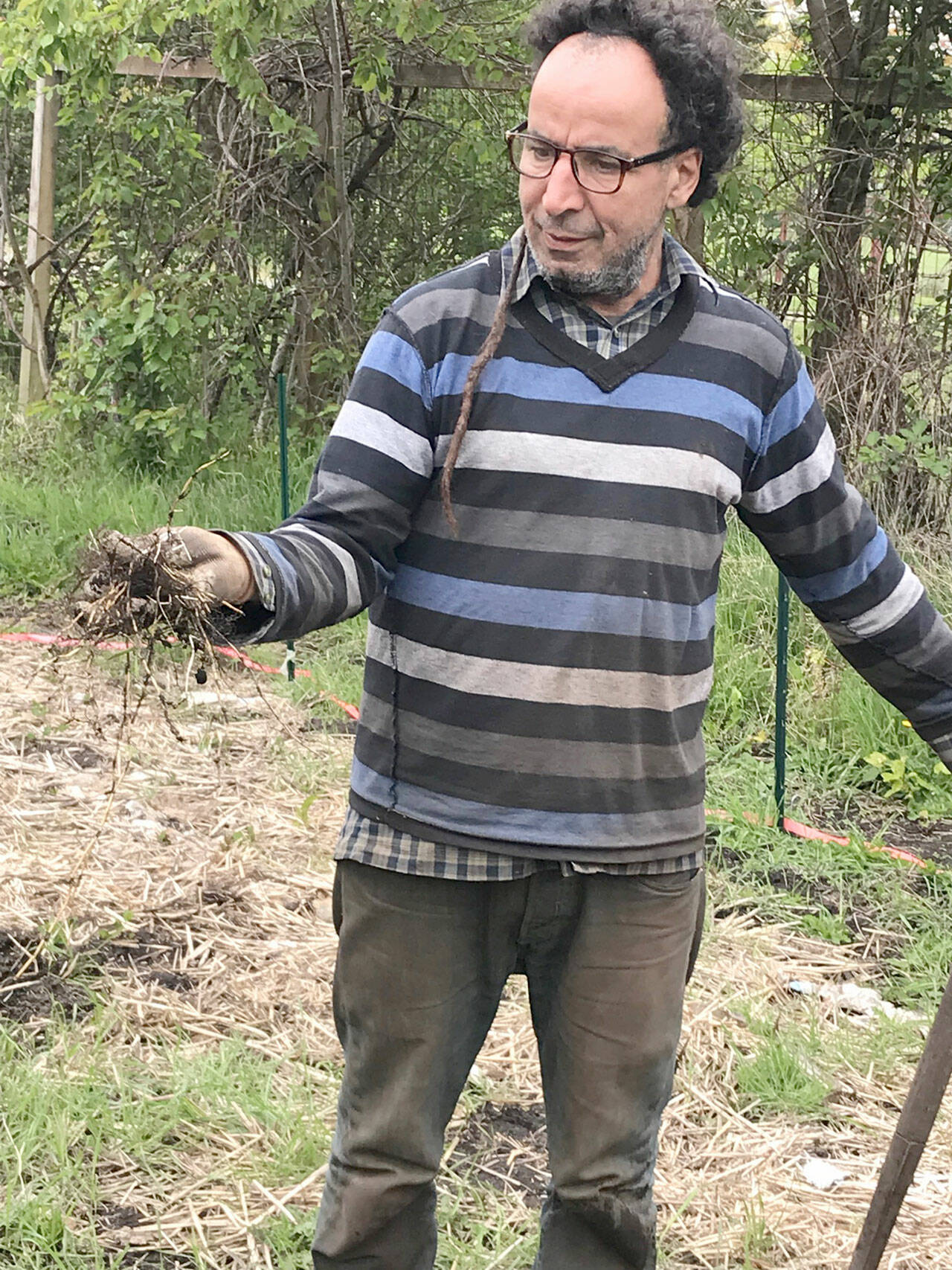 Master weeder Mehdi demonstrate weeding techniques this weekend.