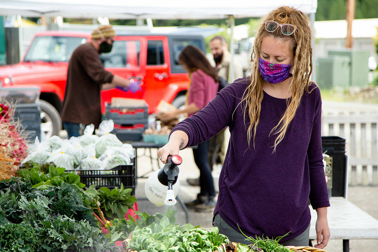 Emma Erickson with Red Dog Farm keeps produce fresh at an earlier Chimacum Farmers Market. (Andrew Wiese)