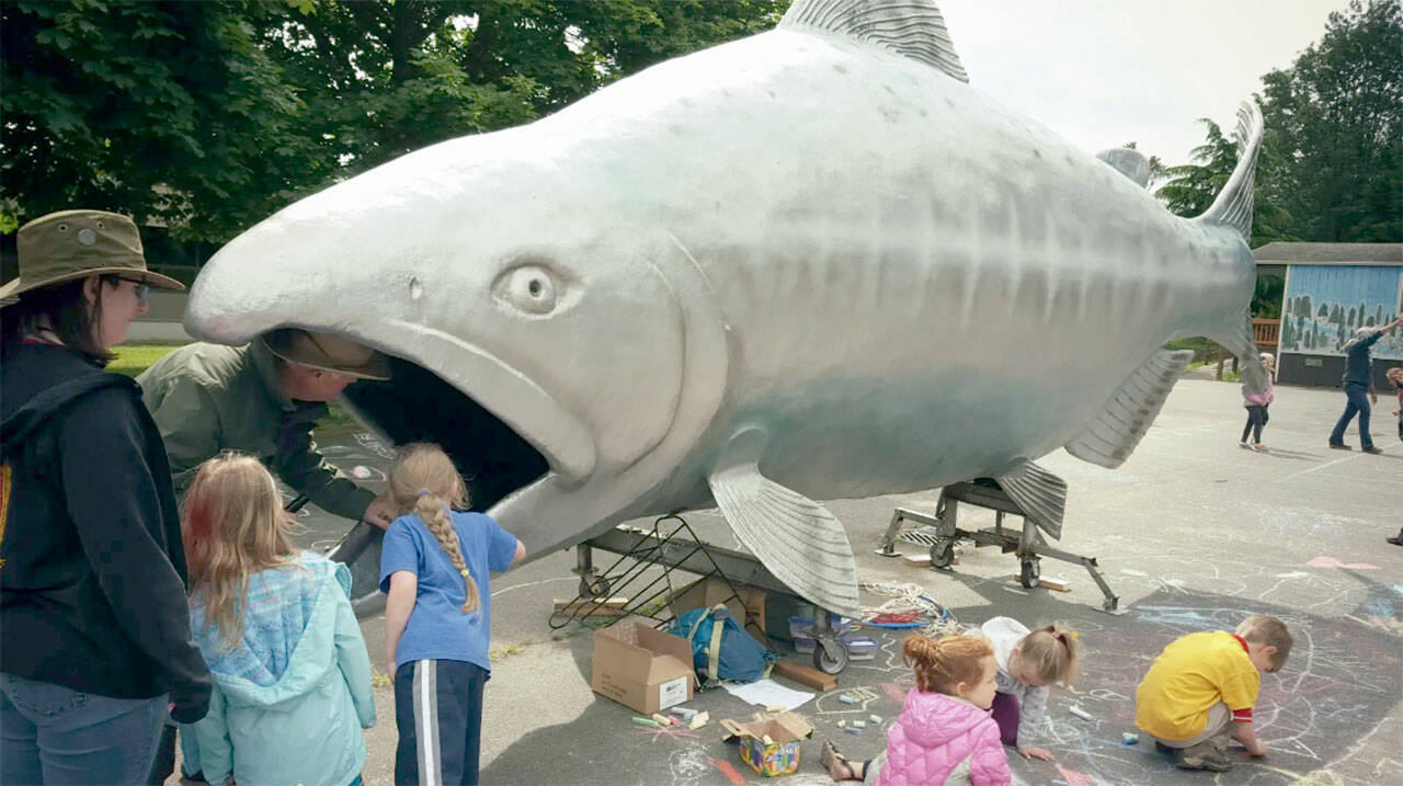 The North Olympic Salmon Coalition is bringing Fin, the giant salmon, Nature Bridge is bringing its portable stream and Smokey the Bear will make a special appearance at Forever Streamfest.