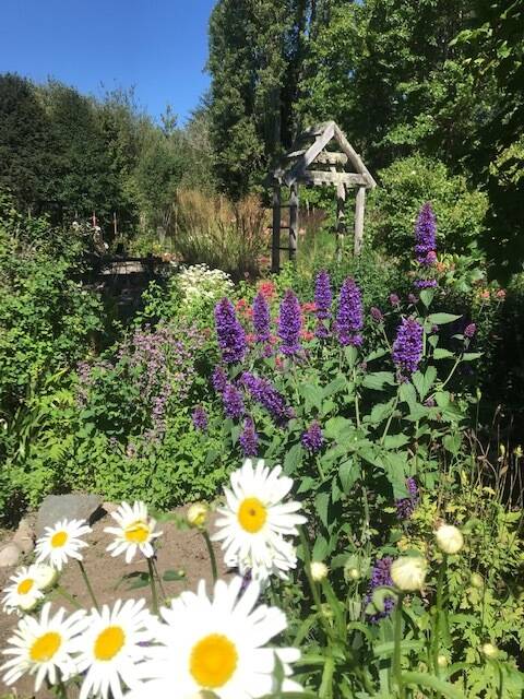 Hikers see heart of Olympic Mountains | Peninsula Daily News