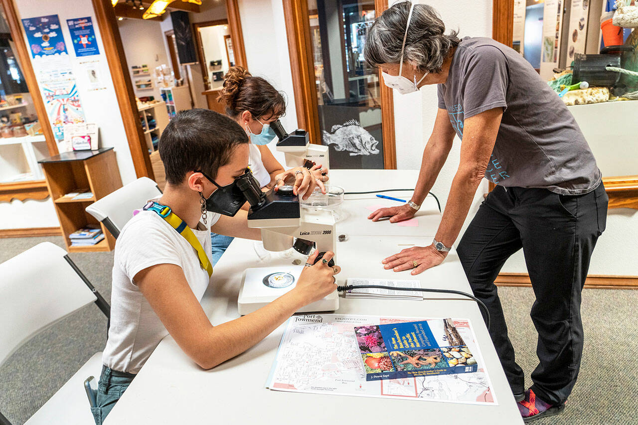 Taking a closer look at marine specimens are sisters Anna, foreground, and Mimi Molotsky, from Port Towsennd, during the Marine Science Center’s Microscope Friday at the welcome center located at 1001 Water Street in Port Townsend. Volunteer Toni Davison, also from Port Townsend, answers any questions that may arise. (Steve Mullensky/for Peninsula Daily News)