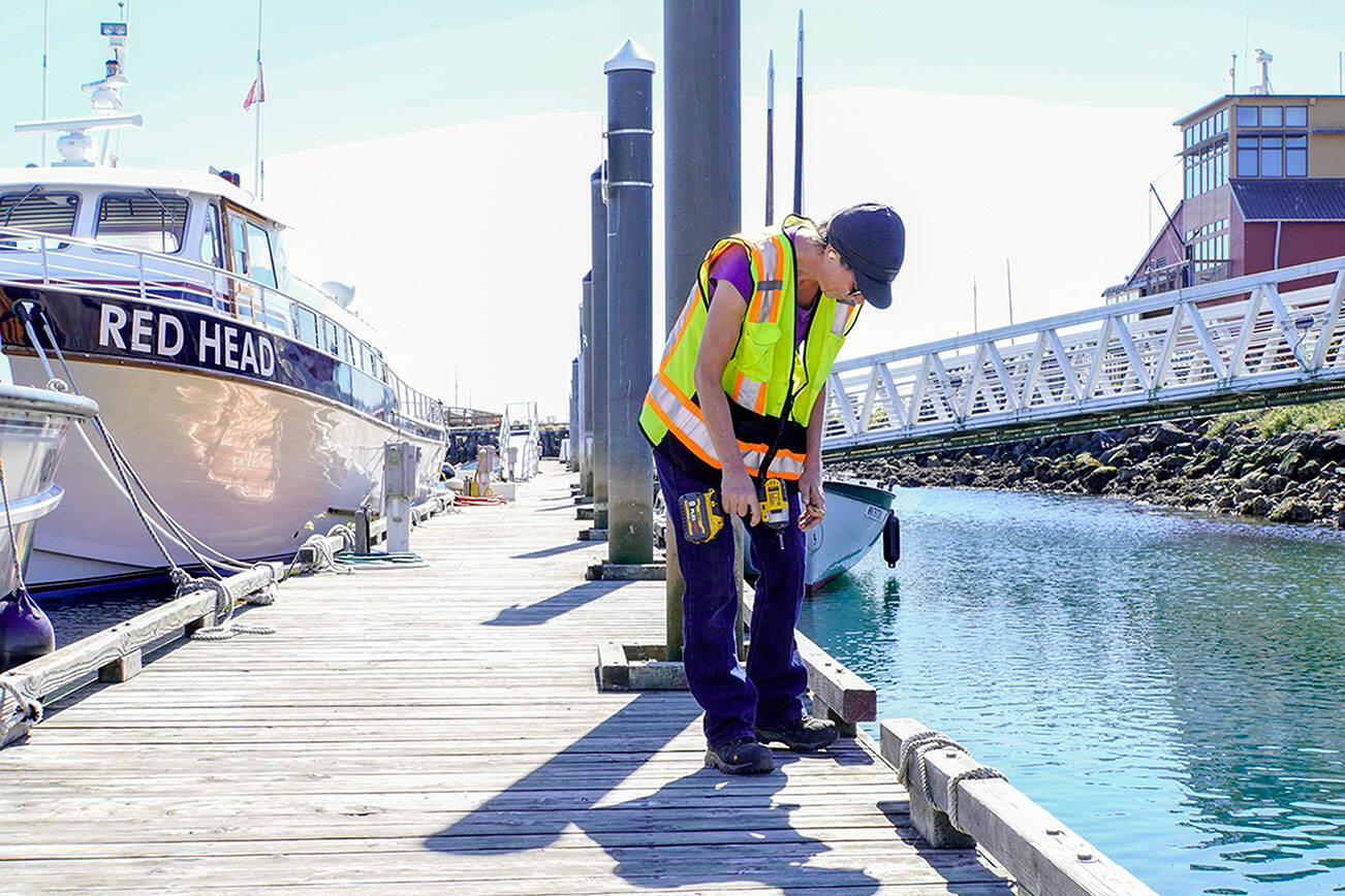 Laura Snodgrass of Port Townsend, an employee of the Port of Port Townsend, uses the sole of her boot to feel for protruding screw heads that might catch on anyone’s foot and cause an accident. Snodgrass was working to replace or tighten screws as necessary in advance of this weekend’s Wooden Boat Festival. (Steve Mullensky/for Peninsula Daily News)