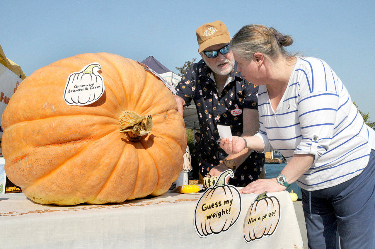 Brandi Montgomery, front, and John Patterson, both of Sequim, make their guesses on the weight of a massive Atlantic Giant pumpkin on display at the Sequim Farmers & Artisans Market at the Sequim Civic Center. The contest, hosted by the market with a pumpkin provided by Beanstalk Farm, allowed market visitors to record their estimations for a shot at a prize of $20 in market bucks. The winner and weight will be announced later this week on the market’s Facebook page. (Keith Thorpe/Peninsula Daily News)