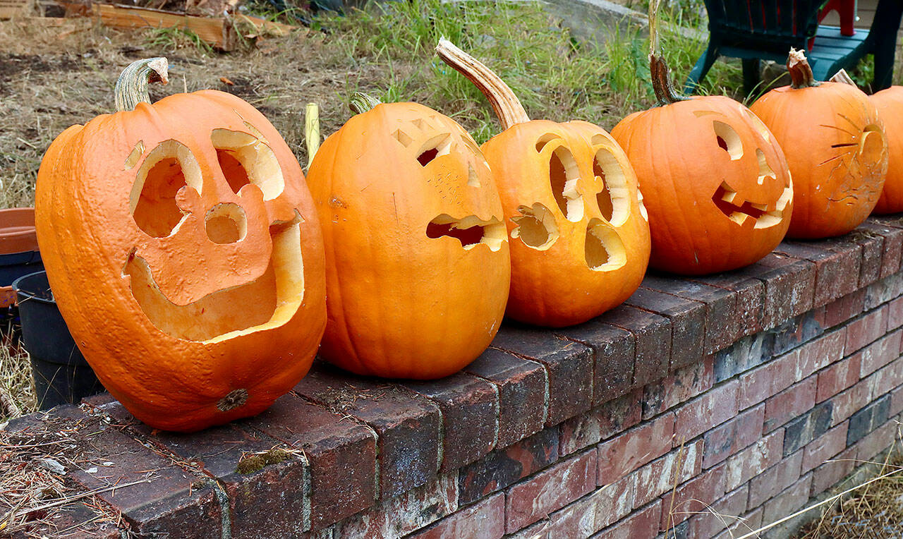 A row of carved Halloween pumpkins sitting on a brick fence in the 1800 block of West 10th St. in Port Angeles. (Dave Logan/For Peninsula Daily News)