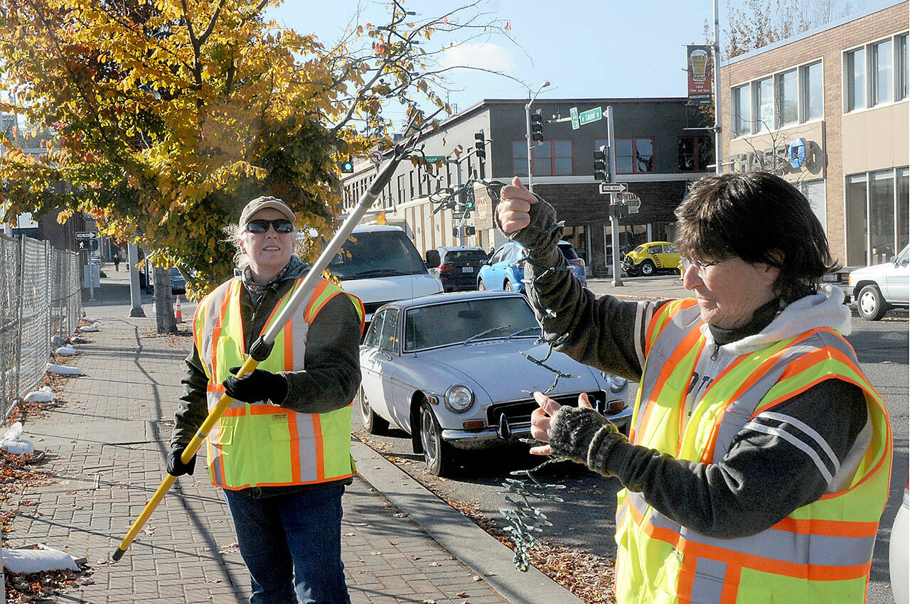 Carla Sue, left, and Fran Howell, both members of the Olympic Kiwanis Club, string holiday lights in a roadside tree along North Laurel Street in Port Angeles as part of an effort to decorate and illuminate the downtown area for the winter season. The service club was given the task of decorating trees and light poles with strings of lights supplied by the Port Angeles Downtown Association. (Keith Thorpe/Peninsula Daily News)