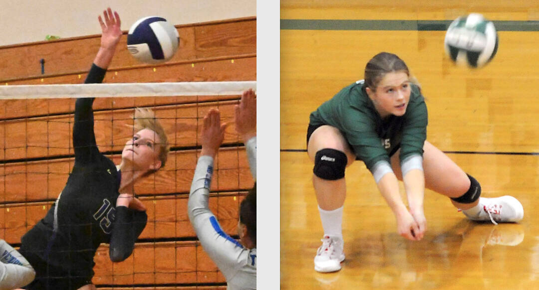 Sequim's Kendall Hastings, left, was named the Olympic League volleyball offensive player of the year, while Port Angeles' Lily Halberg was named as a member of the all-league team. (Photos by Michael Dashiell and Keith Thorpe, Olympic Peninsula News Group and Peninsula Daily News)