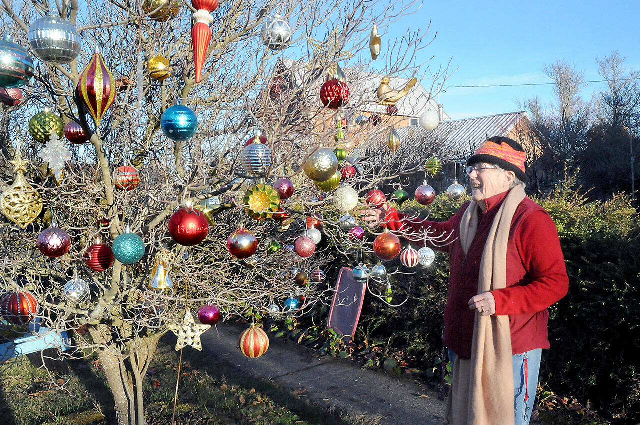 Marie Cauvel adds ornaments to a tree along the sidewalk in front of her house in the 600 block of South Cedar Street in Port Angeles. The tree was one of a pair next to the street that received holiday adornment by Cauvel, who said she was taking advantage of a sunny day to accomplish the task. (Keith Thorpe/Peninsula Daily News)