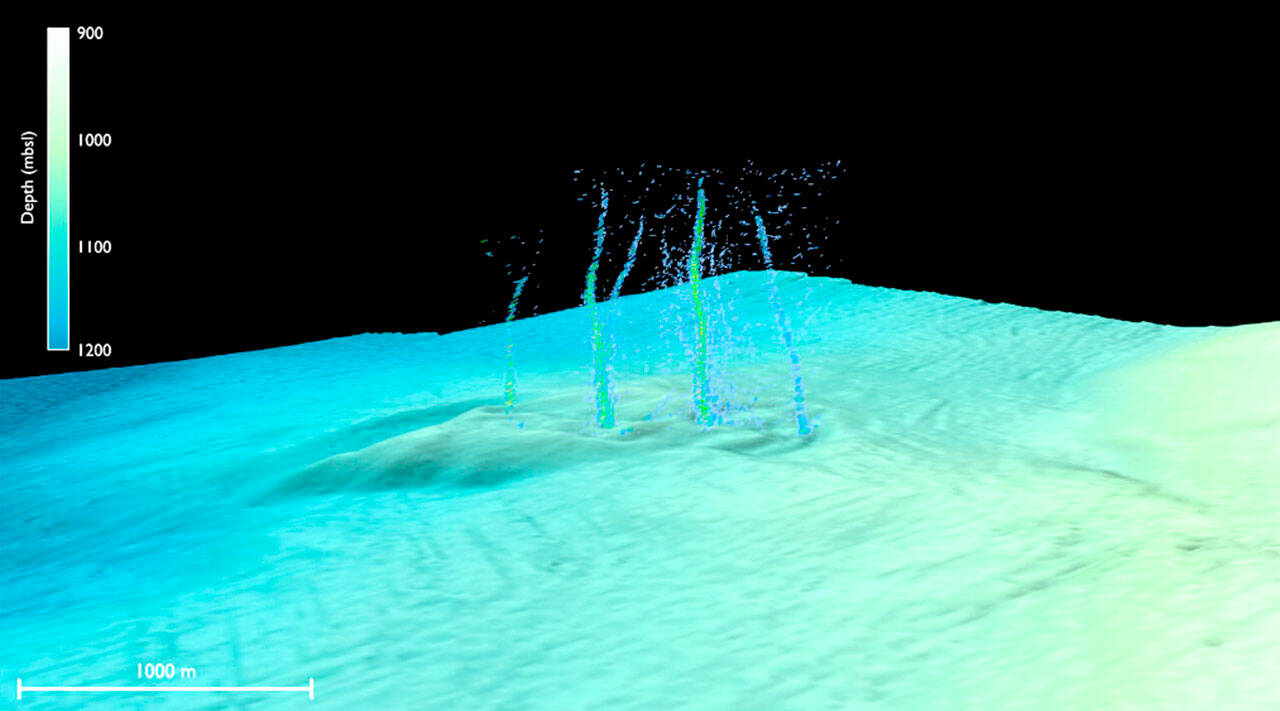 This sonar image of the Pythias Oasis site shows bubbles rising from the seafloor about two-thirds of a mile deep and 50 miles off Newport, Ore. These bubbles are a byproduct of a unique site where warm, chemically distinct fluid gushes from the seafloor. Researchers believe this fluid comes directly from the Cascadia megathrust zone, or plate boundary, and helps control stress buildup between the two plates.(Philip et al./Science Advances)