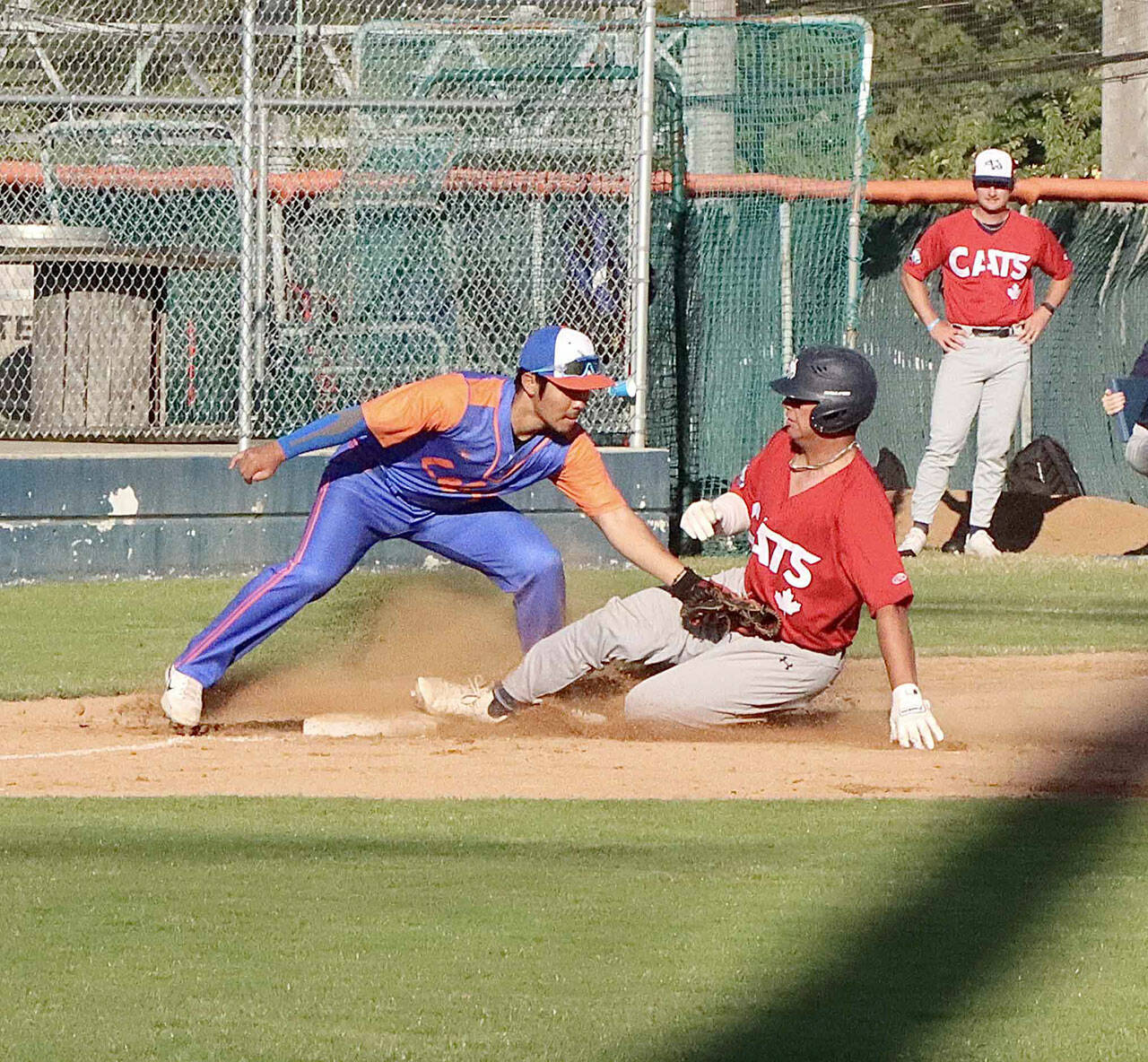 Victoria Harbour Cat Brayden Kessel is tagged out as he attempts to slide into third base. The Lefties 3rd baseman is M.J. Kim who applies the tag dlogan