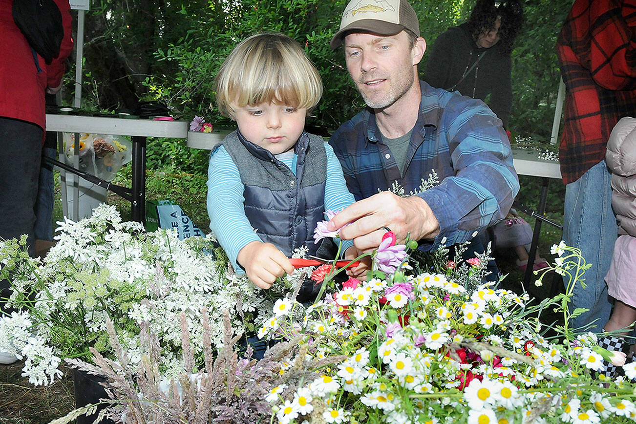 Noah Erickson, 2, snips a flower head with the help of his father, Chris Erickson of Port Angeles, while making a solstice crown headdress during the Summertide Solstice Art Festival on Saturday at the Port Angeles Fine Arts Center and adjoining Webster’s Woods Sculpture Park. The event served as a celebration of the coming of summer with a variety of food, music and outdoor activities. (Keith Thorpe/Peninsula Daily News)