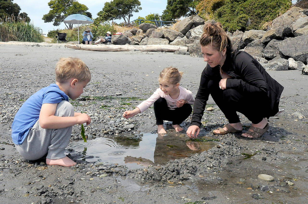 Jennifer Sargent of Port Angeles, right, and her children, Benson Sargent, 6, and Marlee Sargent, 4, examine a tidepool in search for marine life on Thursday at Hollywood Beach in Port Angeles. A minus 2.52-foot tide on Thursday provided ample opportunity for the family to explore areas normally below the surface of Port Angeles Harbor. (Keith Thorpe/Peninsula Daily News)