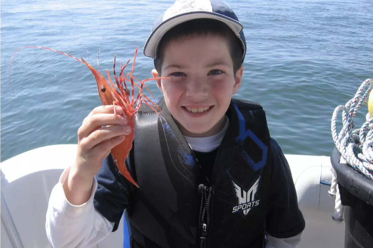 Shrimping days were added in the eastern Strait of Juan de Fuca by the Washington Department of Fish and Wildlife. (WDFW photo)