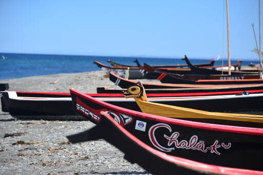 Canoes from around the Pacific Northwest landed on the beach at the Lower Elwha Klallam Indian Reservation on Sunday, part of the 2023 “Paddle to Muckleshoot” canoe journey. Canoe families from the West End of the Olympic Peninsula and Vancouver Island arrived Sunday and will leave on the next leg of the journey to Port Townsend today. (Peter Segall/Peninsula Daily News)