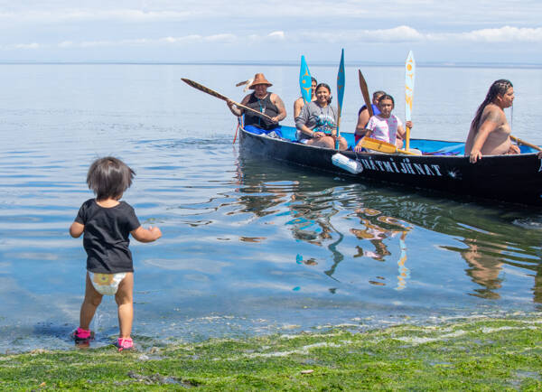 Baby Mackenzie of the Quinault tribe rushes to greet her father, Doug James, skipper of the Song Birds Canoe Family, as the canoe arrives at the Jamestown Beach on Tuesday. Canoes are expected to be welcomed in Port Townsend today before they go on to Port Gamble and Suquamish before arriving at the final destination of Muckleshoot on July 30. (Emily Matthiessen/Olympic Peninsula News Group)