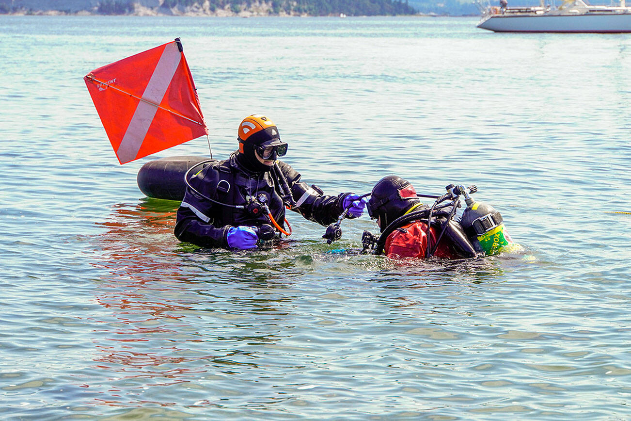 Washington Scuba Alliance diver Glenn Grant holds the regulator of dive buddy Randy Williams while Williams adjusts his flipper before submerging at the breakwater at the entrance to the Point Hudson Marina. The divers were volunteering their services to relocate marine animals, such as sea stars, sea anemone and other invertebrates in advance of the re-placing the south entrance to the marina after the Wooden Boat Festival ends in September. (Steve Mullensky/for Peninsula Daily News)