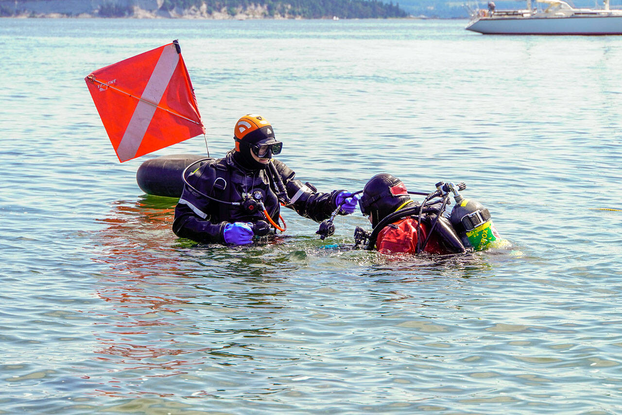 Washington Scuba Alliance diver Glenn Grant holds the regulator of dive buddy Randy Williams while Williams adjusts his flipper before submerging at the breakwater at the entrance to the Point Hudson Marina. The divers were volunteering their services to relocate marine animals, such as sea stars, sea anemone and other invertebrates in advance of the re-placing the south entrance to the marina after the Wooden Boat Festival ends in September. (Steve Mullensky/for Peninsula Daily News)