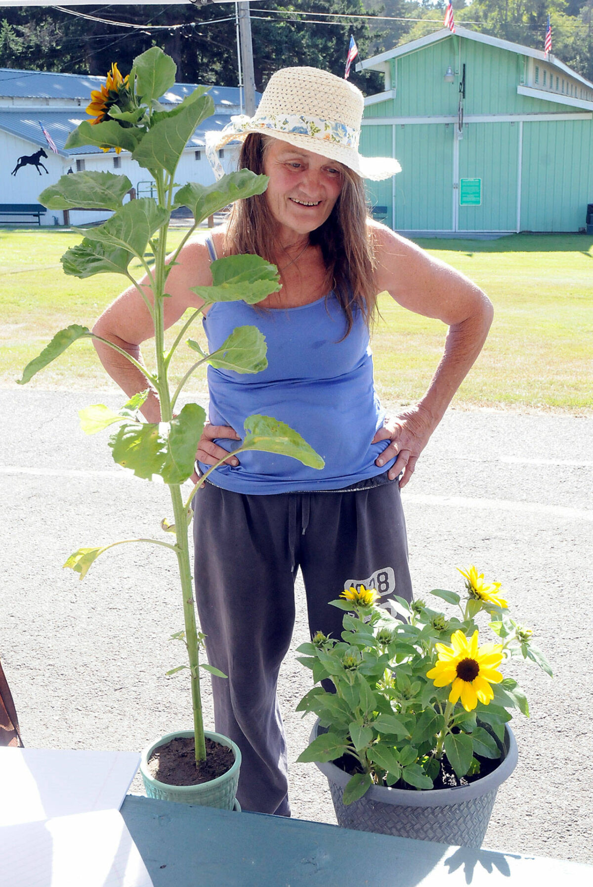 Clallam County Fair schedule Peninsula Daily News