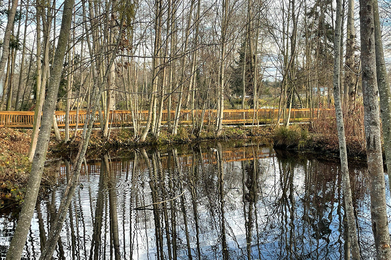 One of the capital projects slated for 2024 includes replacing four timber bridges between Carrie Blake Community Park and the Reuse Demonstration Site across Bell Creek. It’s estimated to cost about $350,000 for the project. (Matthew Nash/Olympic Peninsula News Group)