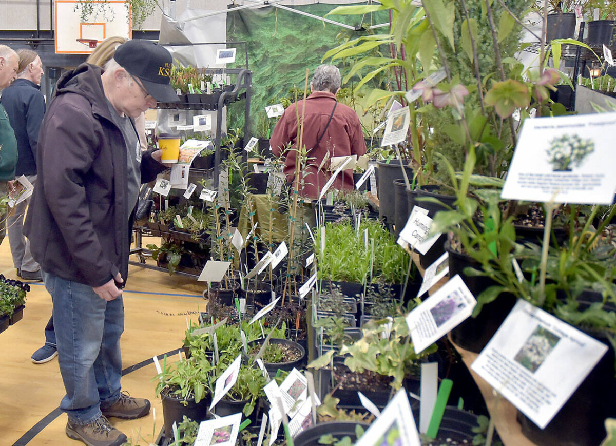 Soroptimist Gala Garden Show in Sequim Peninsula Daily News