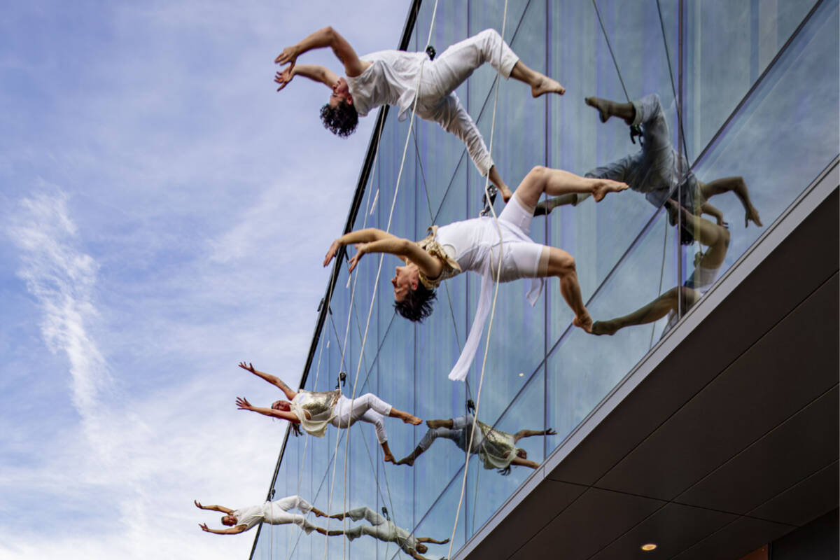 Programming has included internationally celebrated artists like Noche Flamenca and the upcoming Compagnie Hervé Koubi. Photo courtesy of Field Hall.